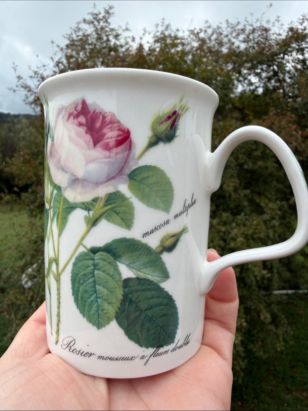 Roy Kirkham Redouté Roses Mug - Picture 8 of 9